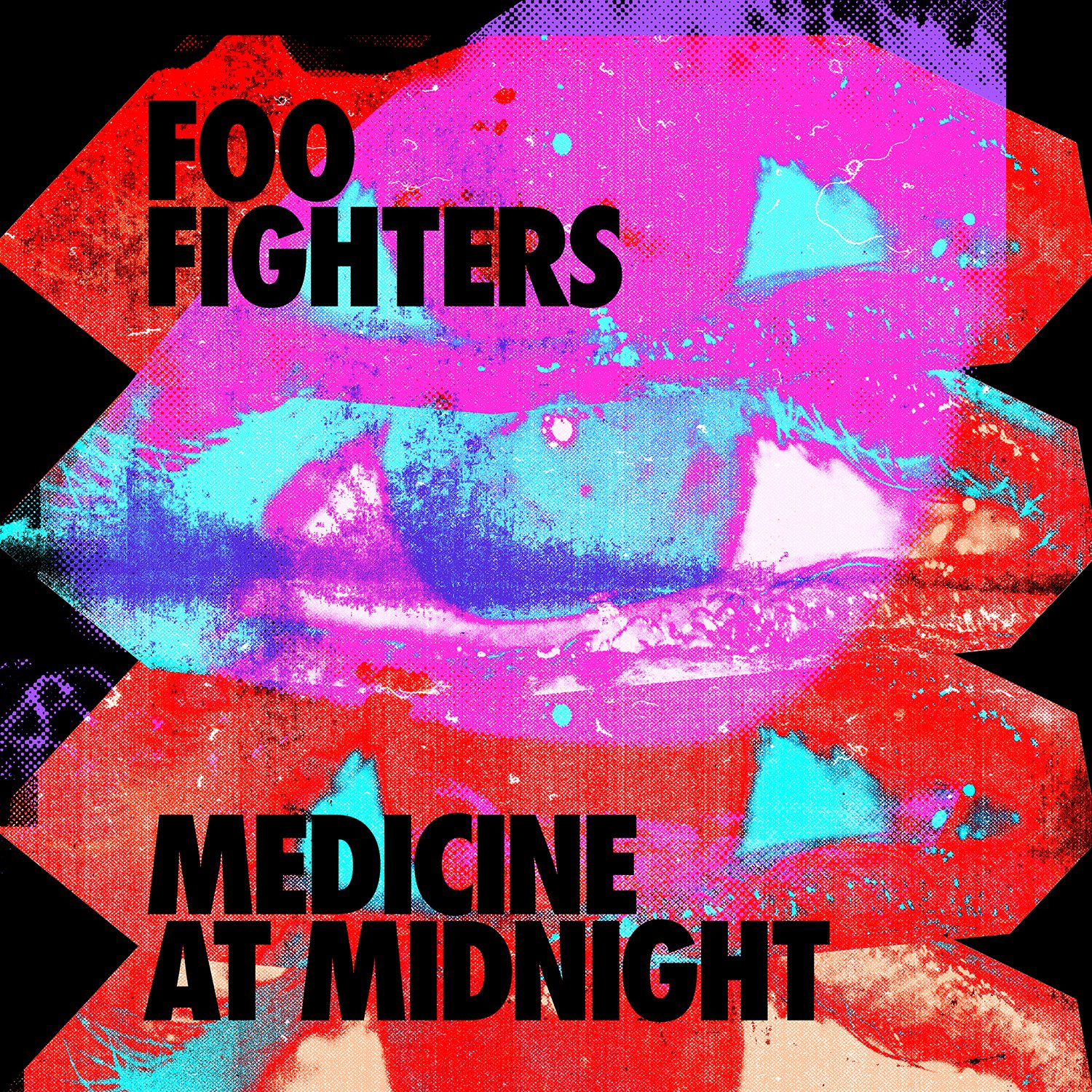 Foo Fighters – Medicine At Midnight