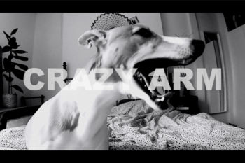 Crazy Arm Release Official Video For ‘Brave Starts Here’