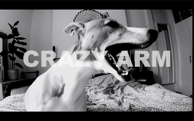 Crazy Arm Release Official Video For ‘Brave Starts Here’