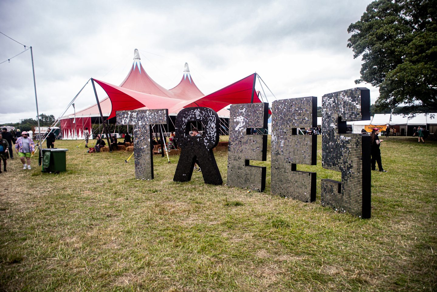 2000 Trees Just Got A Whole Lot Bigger!